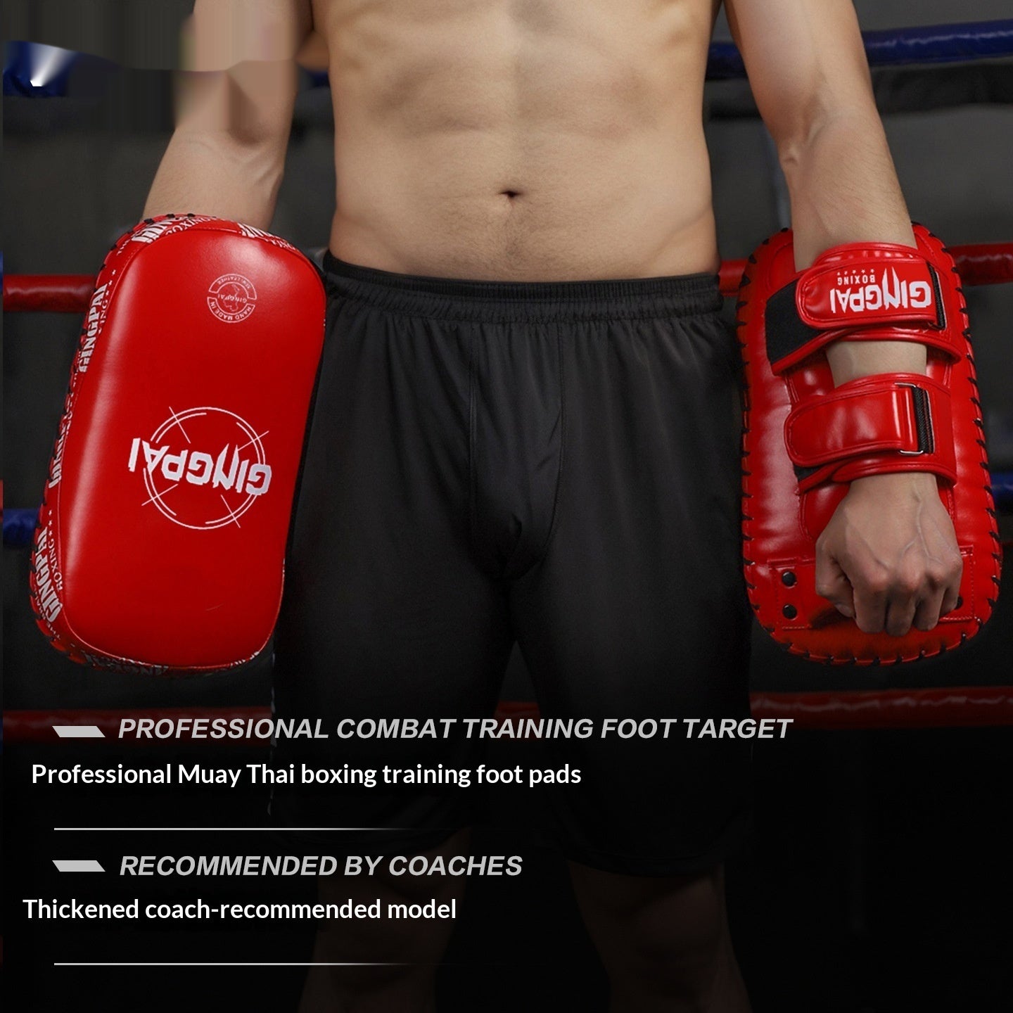 Professional Muay Thai Kicking and Punching Pads