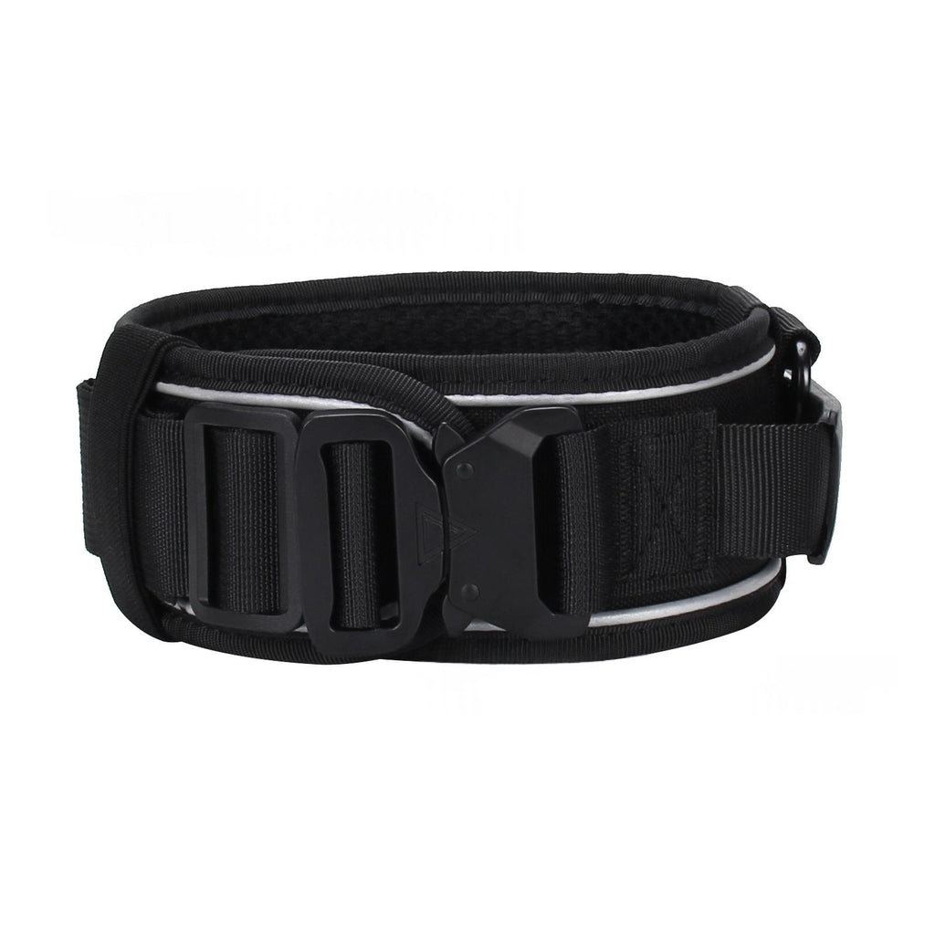 Collier de chien en nylon réfléchissant et laisse extérieure pour animaux de compagnie