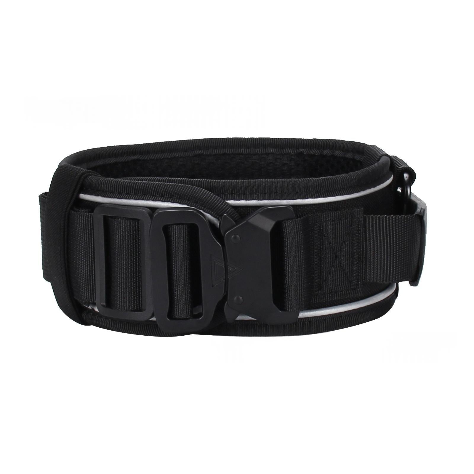 Collier de chien en nylon réfléchissant et laisse extérieure pour animaux de compagnie