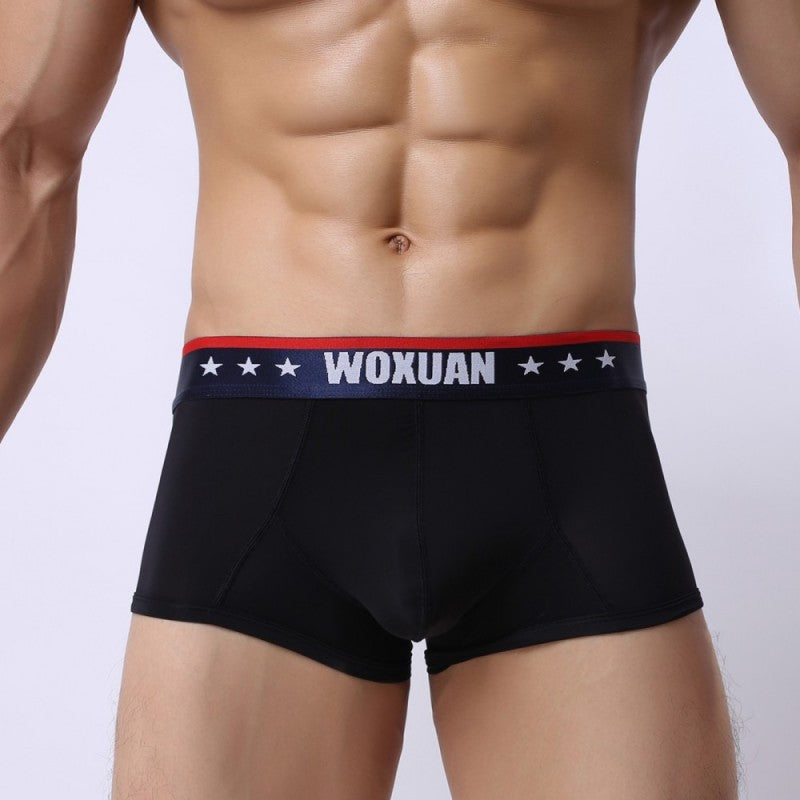 Boxers homme en soie glacée ultra-mince Mode transparente