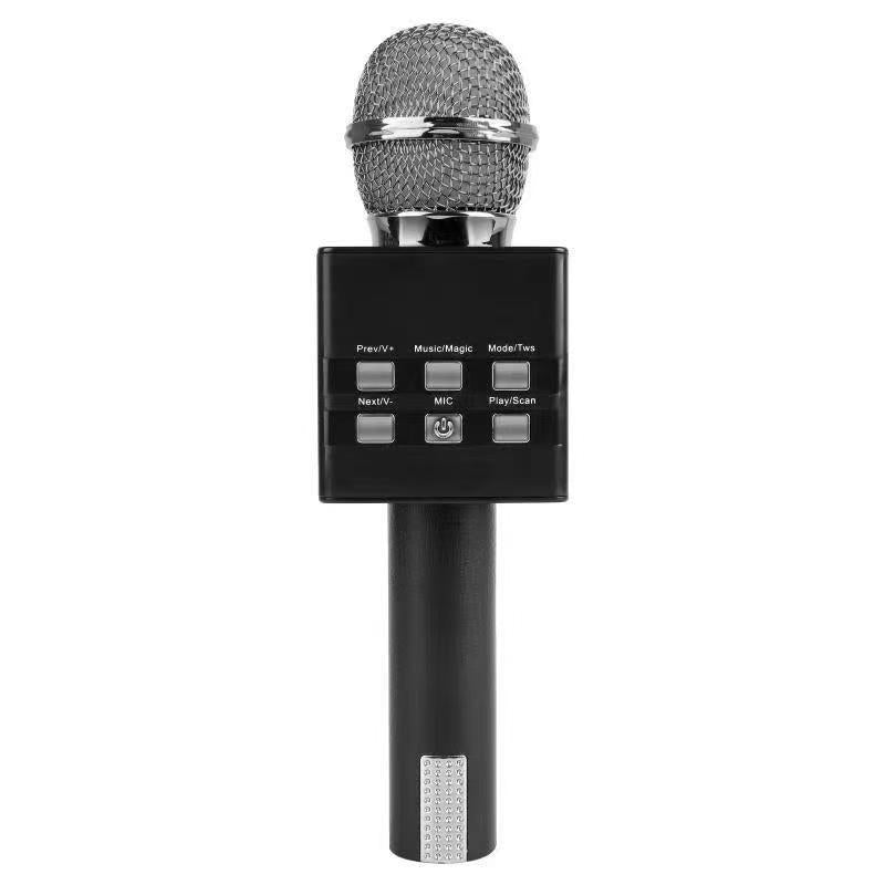 Système audio portatif tout-en-un sans fil Bluetooth Condenseur Microphone