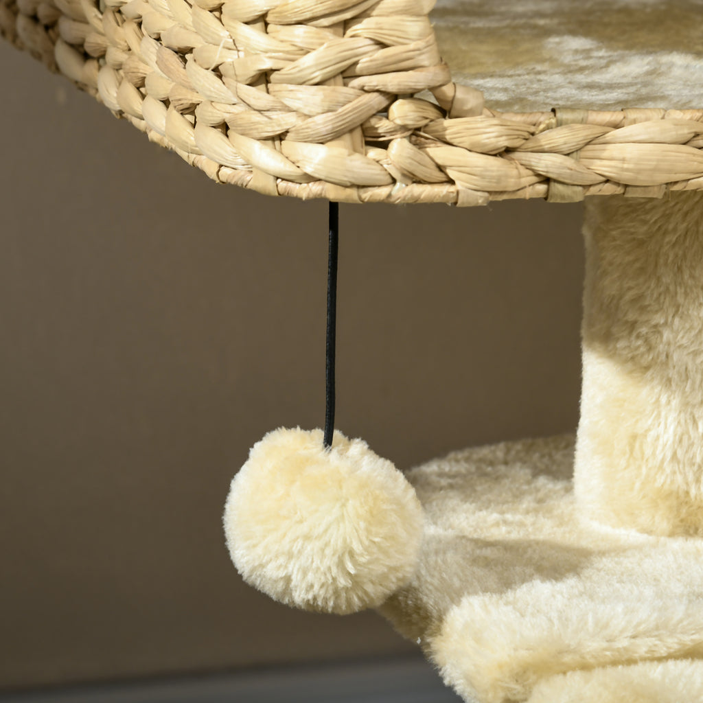 Arbre de chat pour les chats d'intérieur avec des postes de scratching