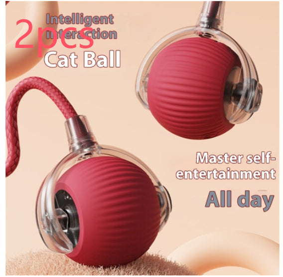 Jouet de chat électrique Automatique boule de chat auto-entertainment Rolling Ball