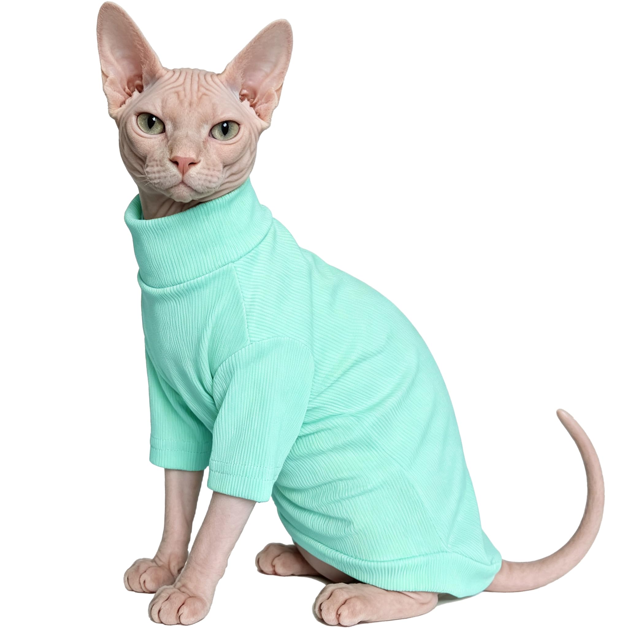 Sphynx Chats Vêtements Chats sans cheveux Chemise Col tortue Sphynx Vêtements Kitten Chandails T-shirts