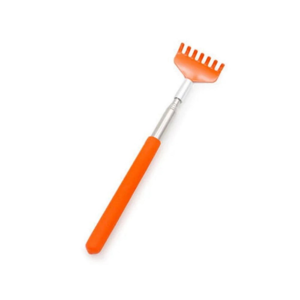 Brosse de massage pour jouets interactifs pour chat
