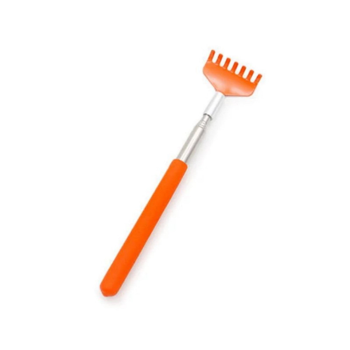 Brosse de massage pour jouets interactifs pour chat