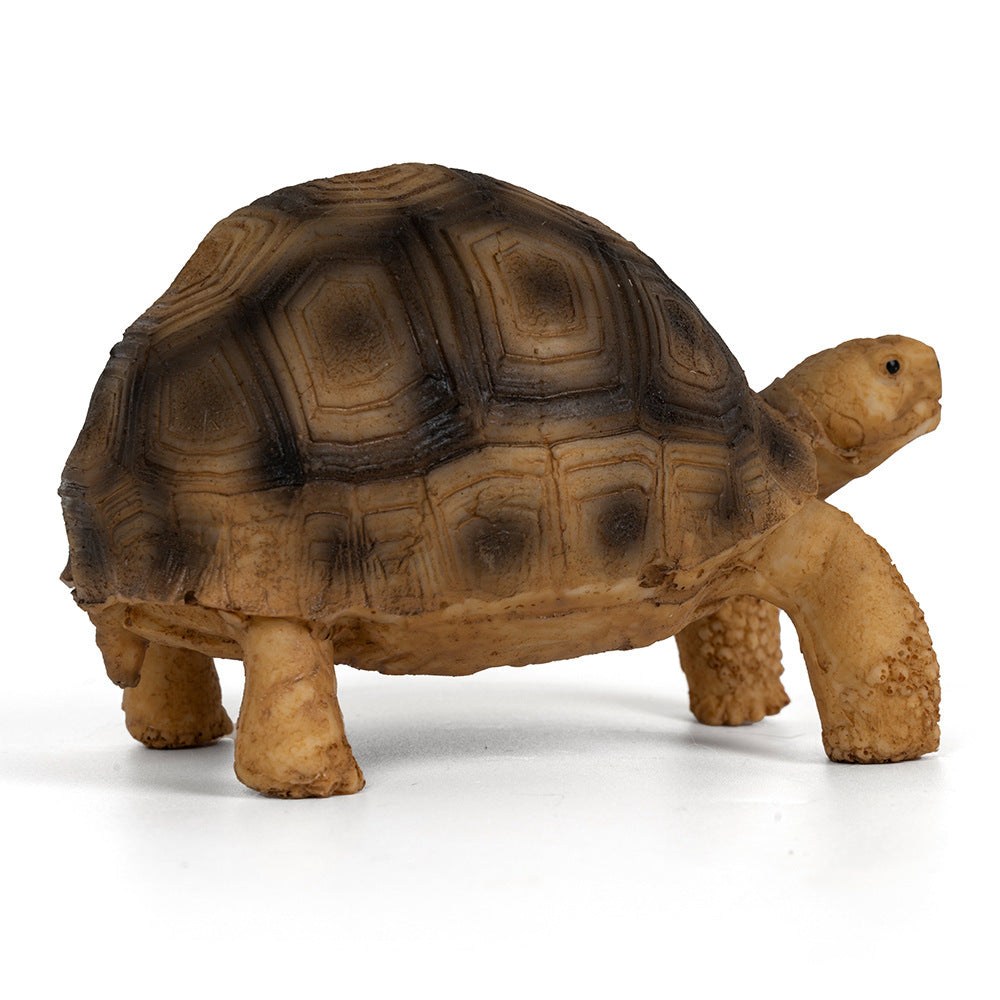 Figurine ornementale en résine pour tanks de tortue d'animaux