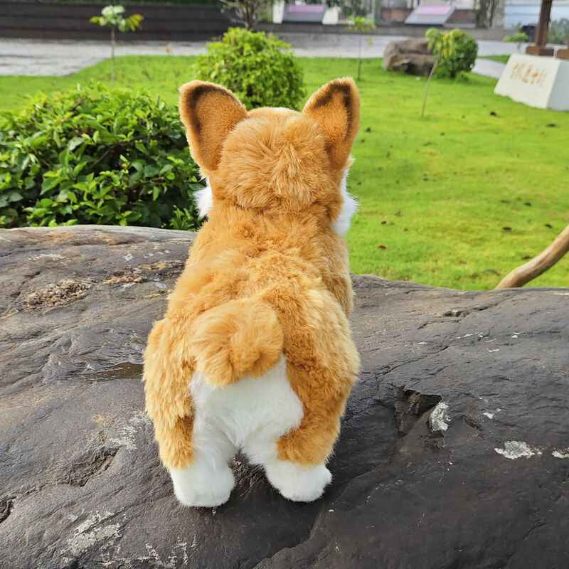 Mignon chien gallois à pattes courtes avec jouets en peluche