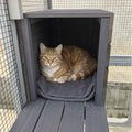 Catio en bois de 62.6" pour chats