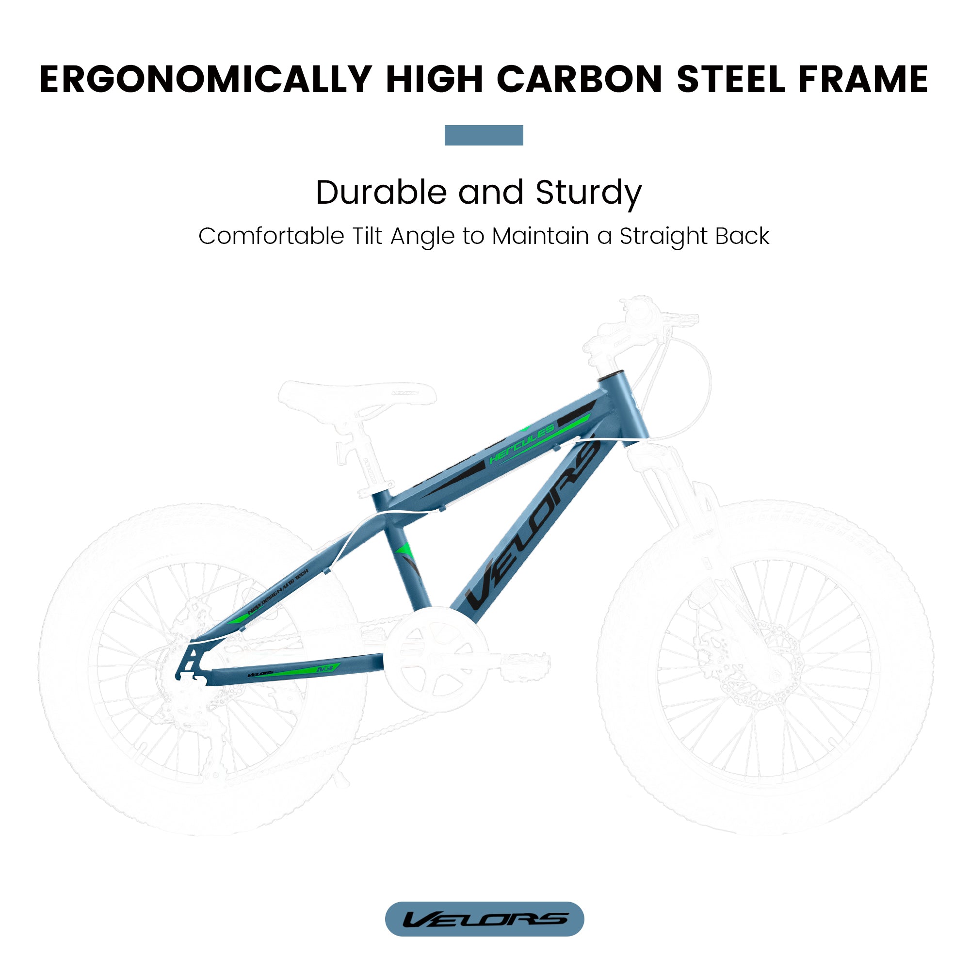 V202035 20 pouces Fat Tire Bike 7 Speed Mountain Bike