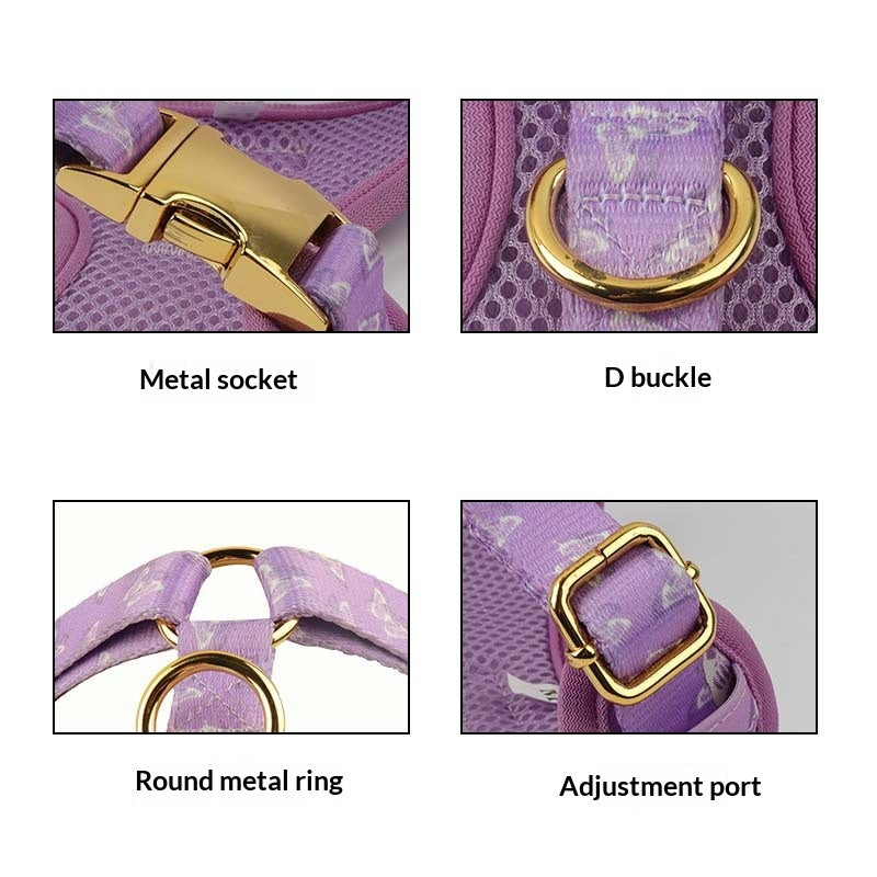 Chien Outfit Pet Extra-large Collier et laisse