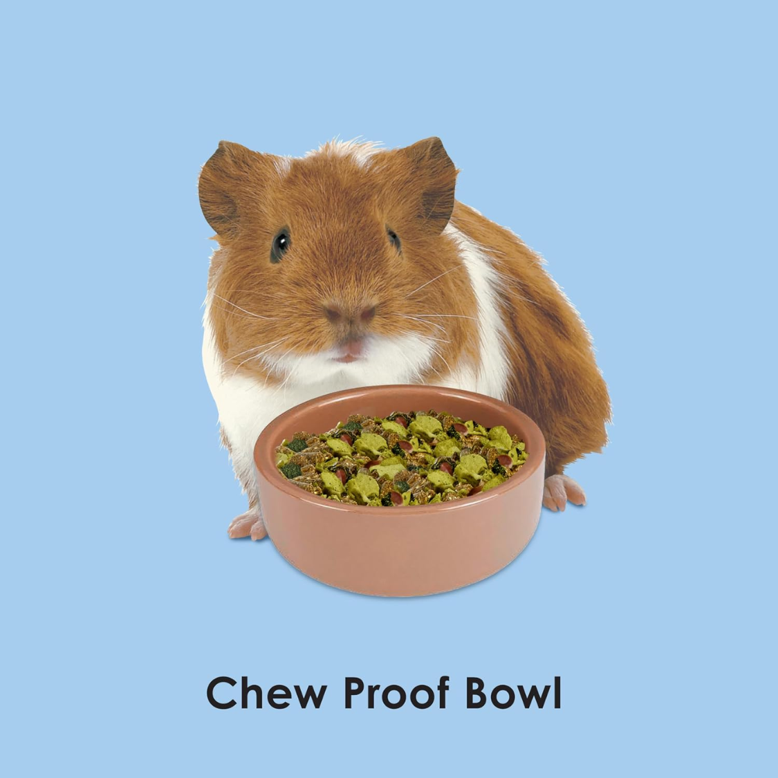 Ceramic Pet hamster Bowl