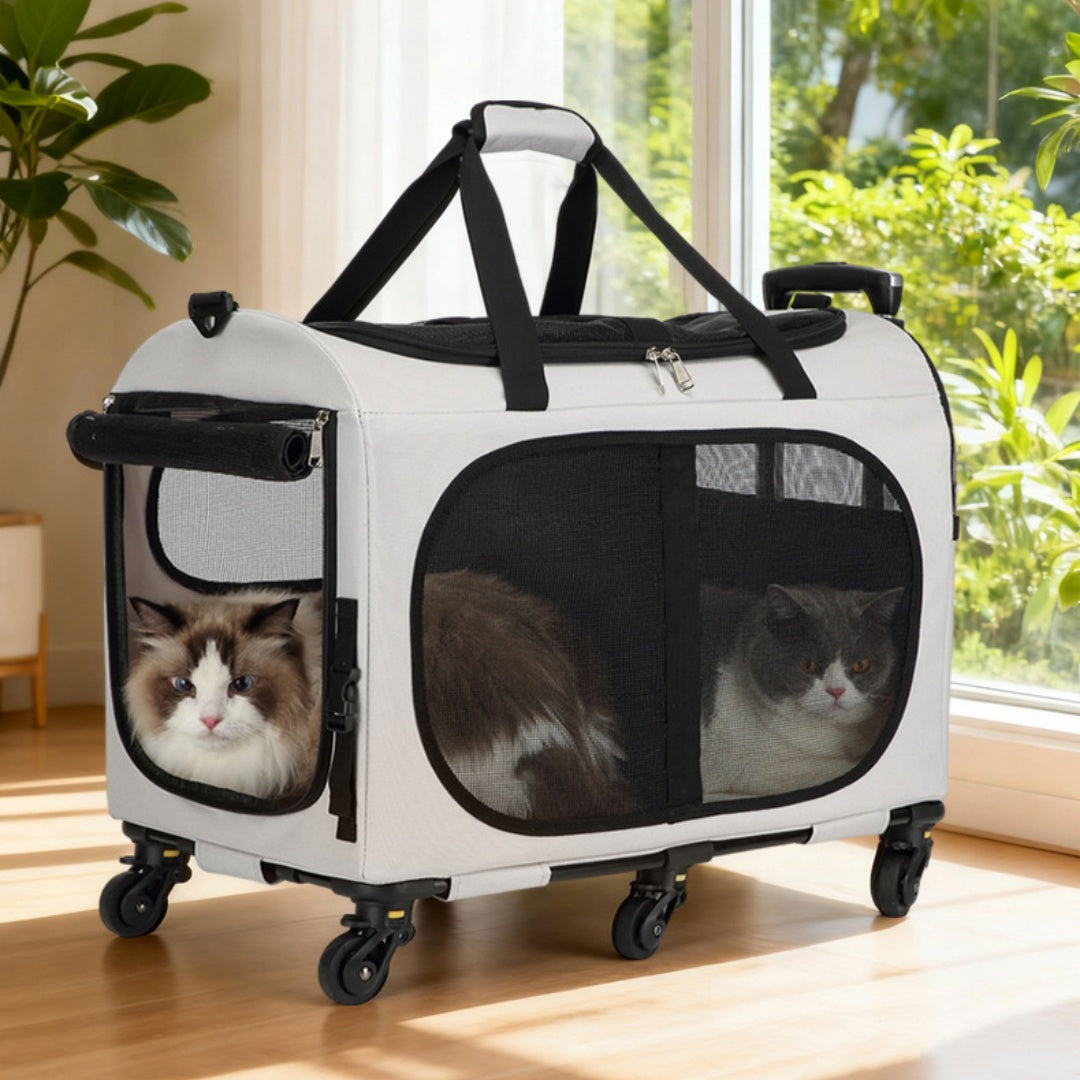 Chariot de transport multi-animaux avec sangle d'épaule et poignée pour chats et petits chiens