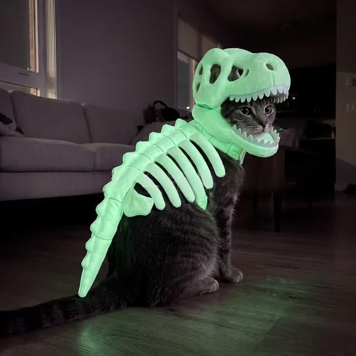 Costume d'animal de compagnie dinosaure foncé