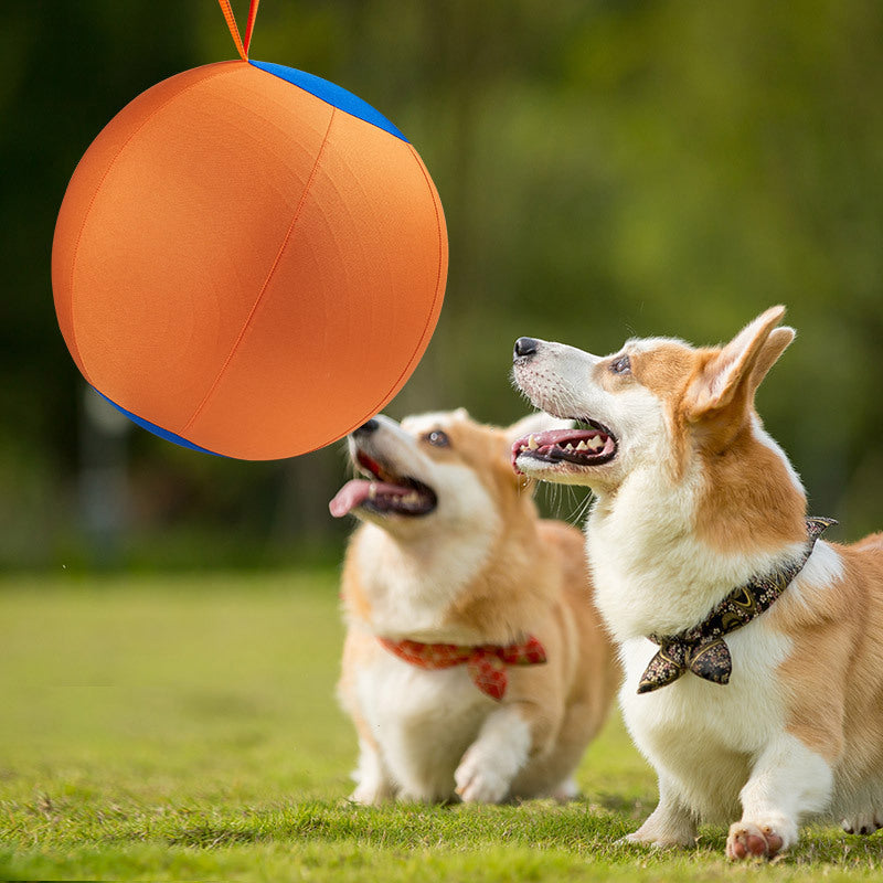 Jouet de boule de chien géant
