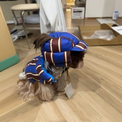Mignon et chaud en coton rembourré avec un chapeau pour chiens et chats