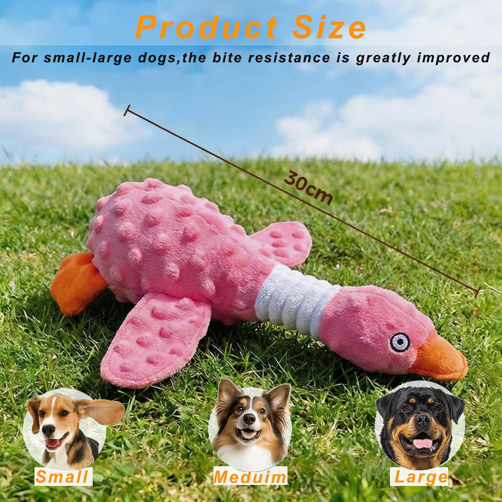 Jouets de chien pour chewers agressifs