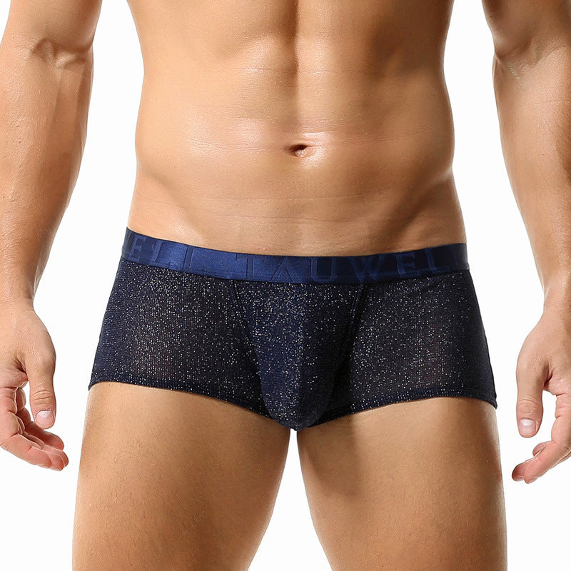 Sous-vêtements pour hommes Low Waist Sexy Mesh U Convex Boxers pour hommes Sous-vêtements pour hommes brillants