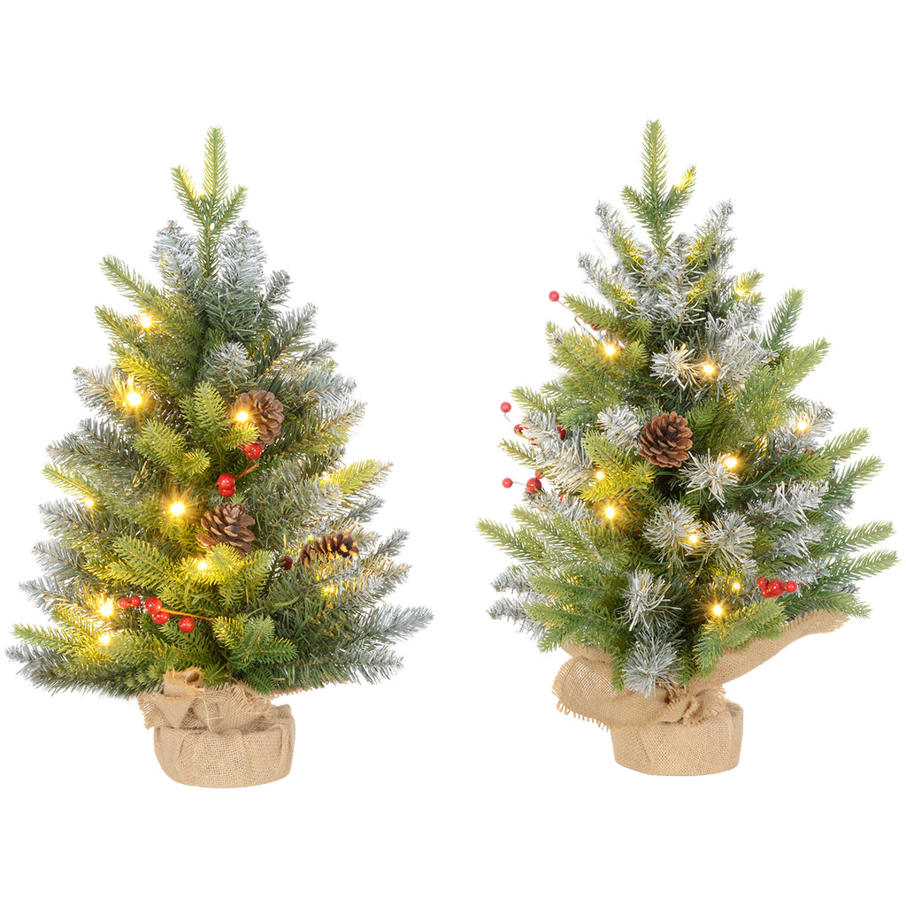 Ensemble de deux arbres de Noël de 2 pieds