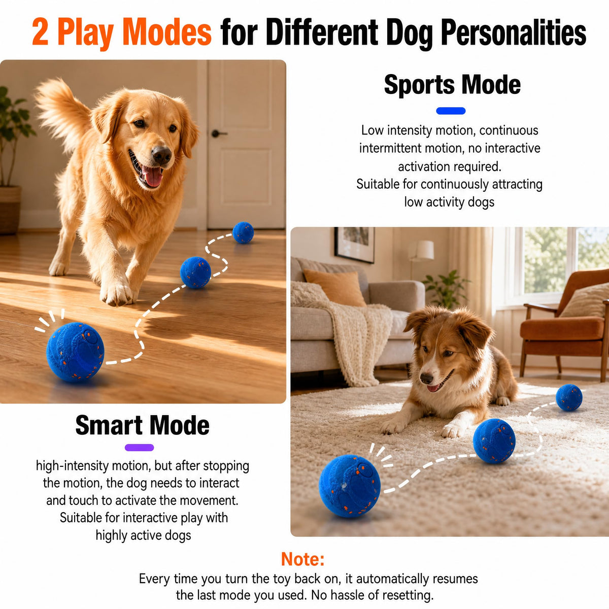 Balle interactive pour chien
