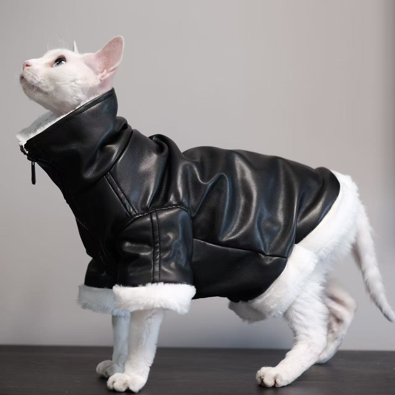 Manteau épais Sans fourrure Vêtements de chat Sphynx Cat Outfit Automnehiver Style