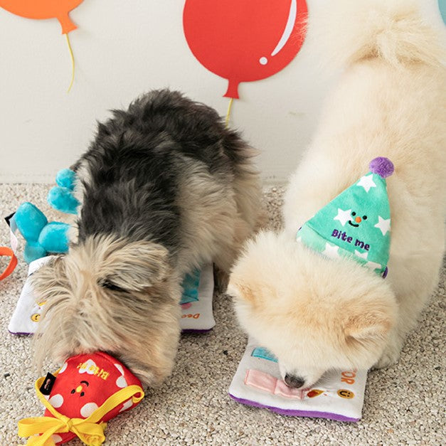 Chapeau d'anniversaire multifonctionnel pour chiens