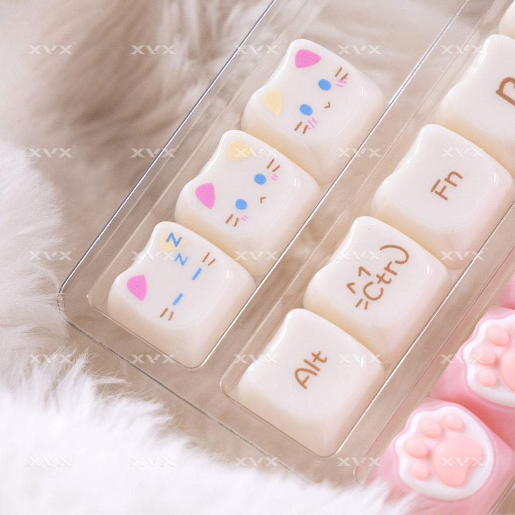 Ragdoll Cat Mignon Clavier de couleur claire