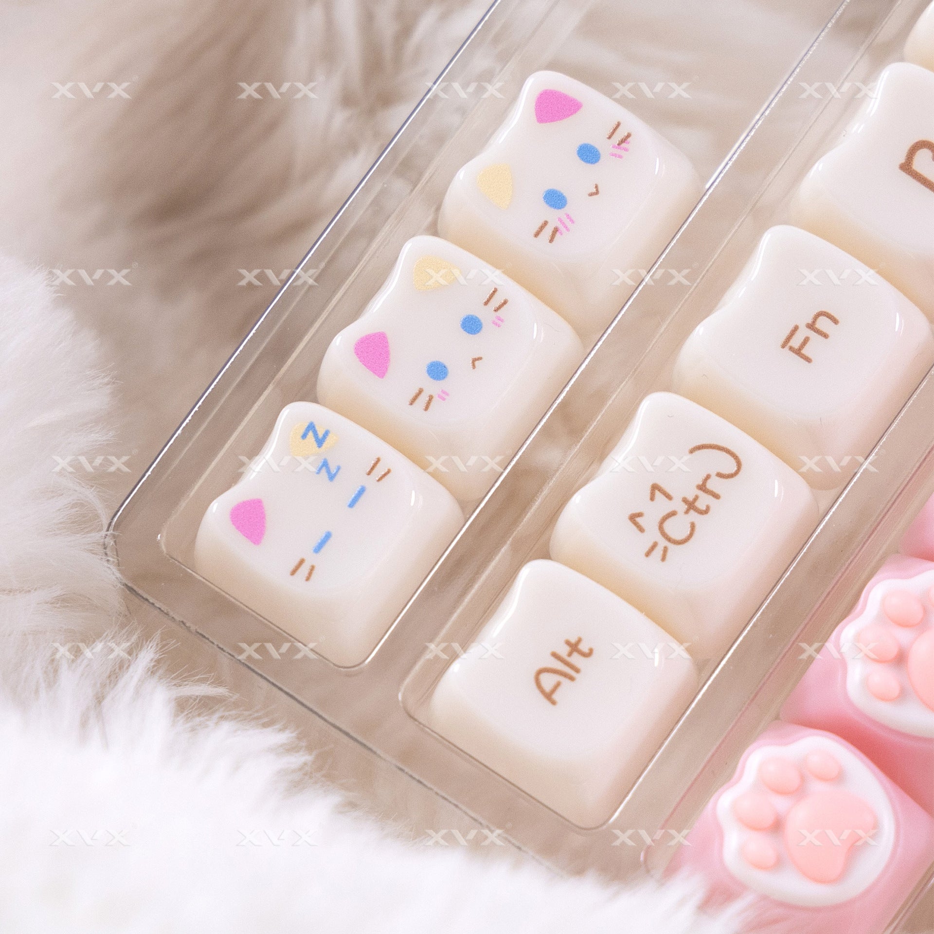Ragdoll Cat Mignon Clavier de couleur claire