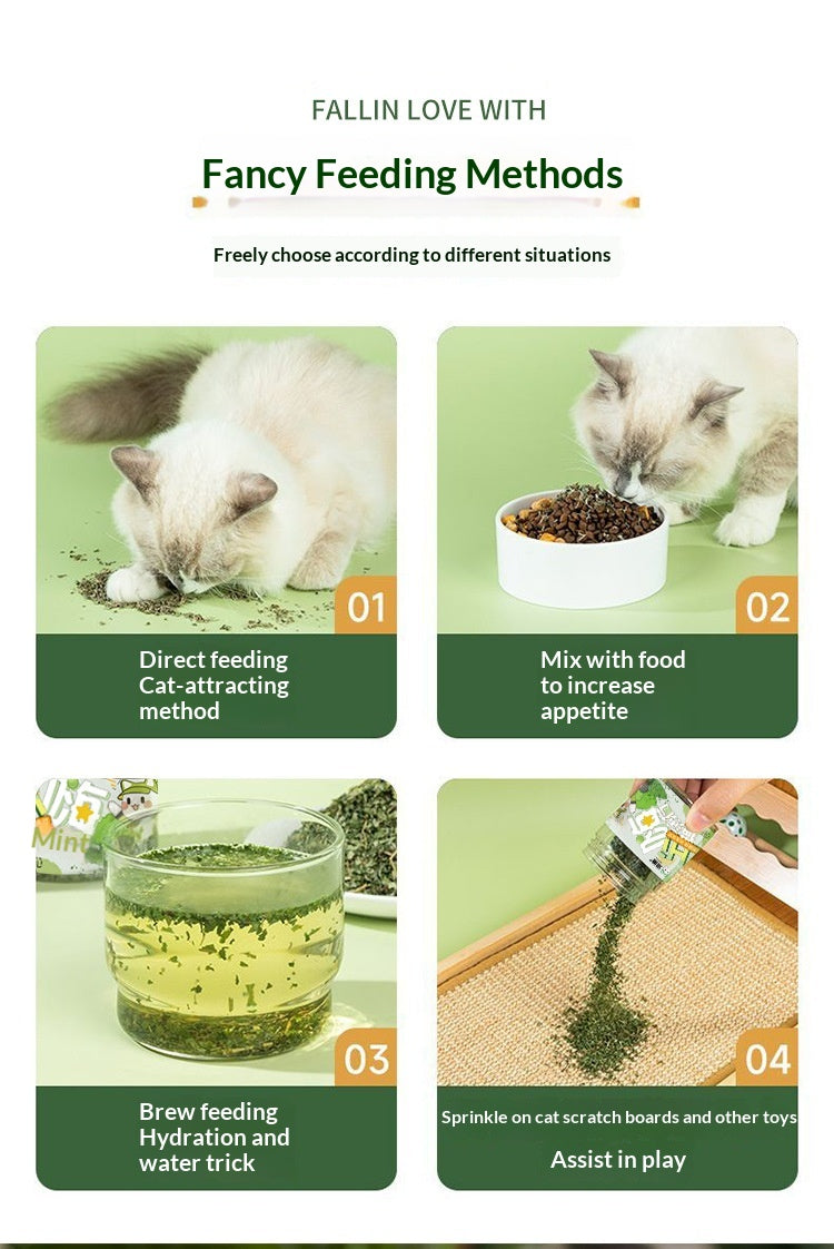 Chatnip Feuilles d'herbe de chat Traites de chat