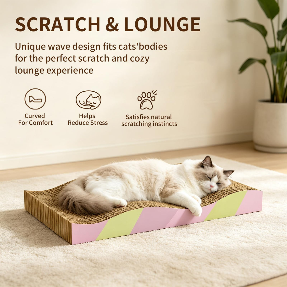 Cat Scratching Board 2-Pack