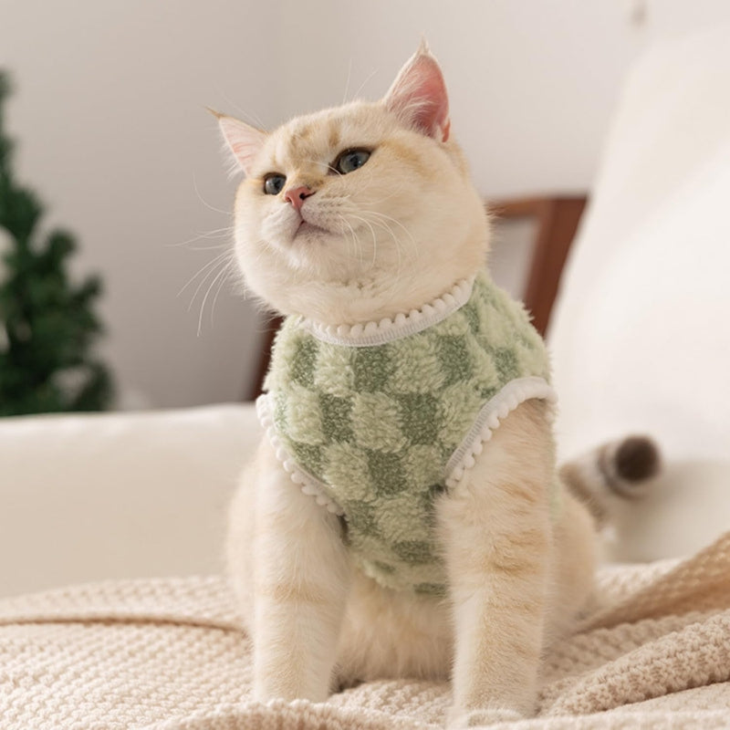 Automne et hiver Coréen Version chien mignon caricature petit ours Sportswear Chat Teddy Pet Clo