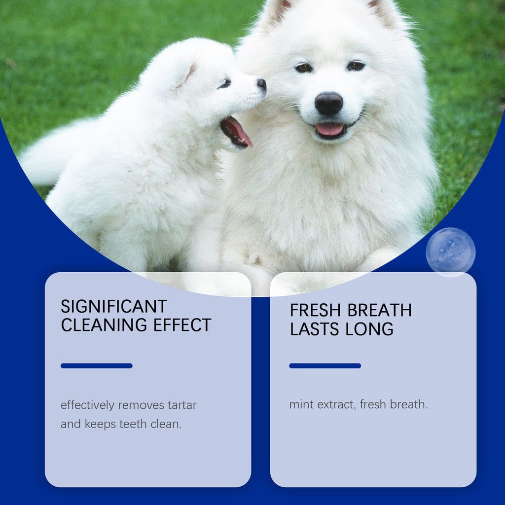 Poudre de nettoyage de dents de chien