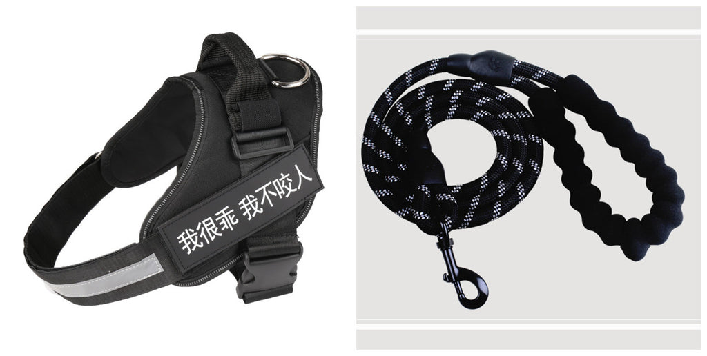Set de ceinture de poitrine en laisse d'animal de mode simple