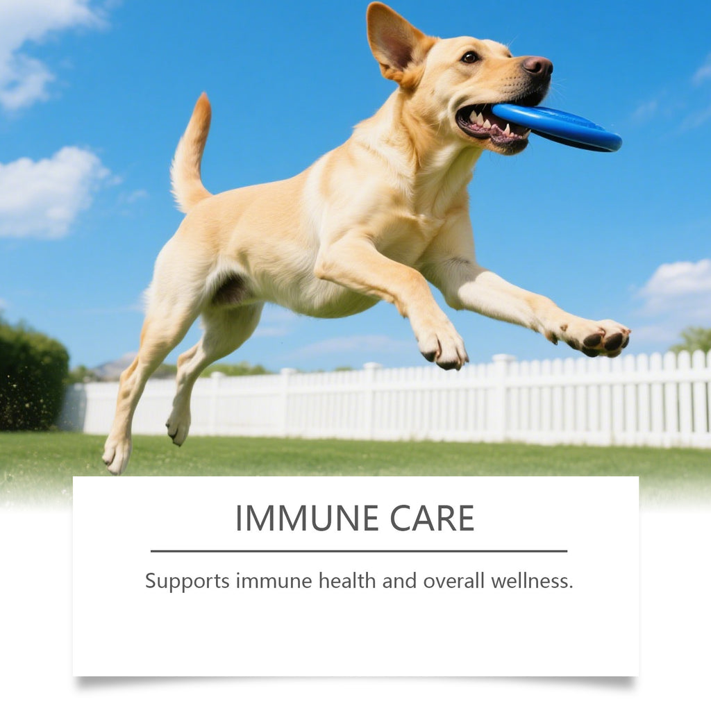 Soins aux canines Comprimés à croquer - Supplément santé pour chiens Soutien quotidien au mieux-être