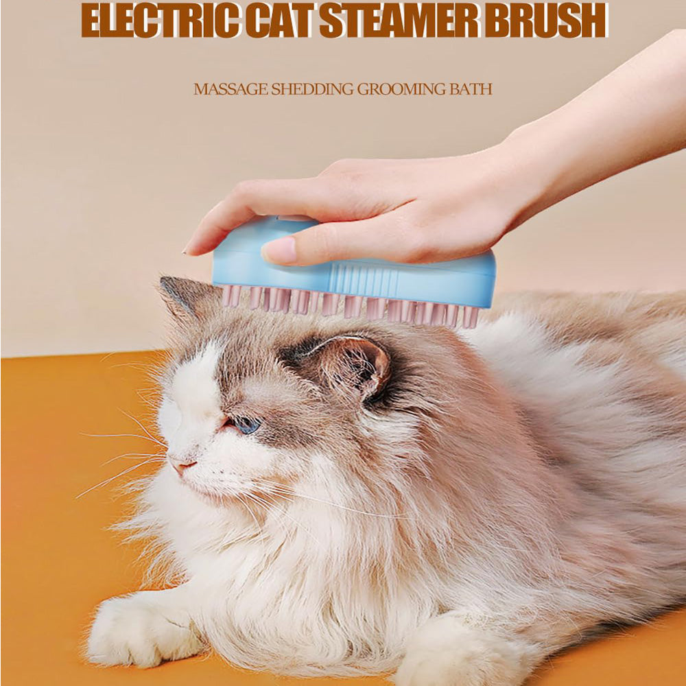 Brosse de chat à vapeur rechargeable