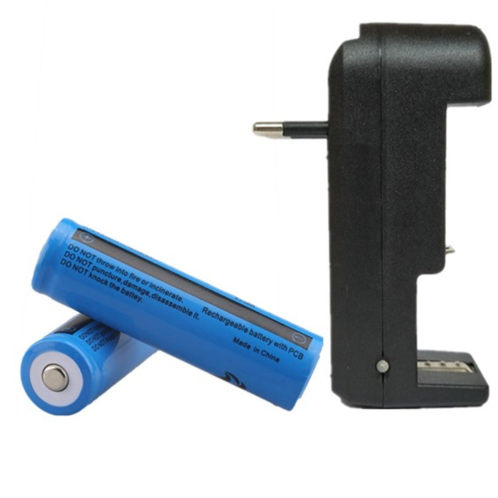 Chargeur de batterie avec batteries Li-ion 18650 3.7V 3000 mAh