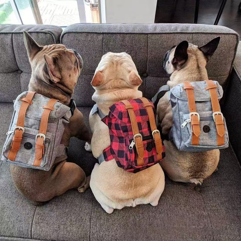 Retro Streetwear Dog Backpack Petite Pet Carrier