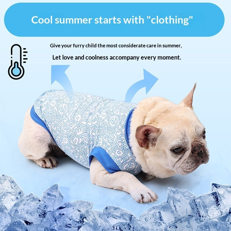 Veste de refroidissement pour les animaux de compagnie sur les promenades