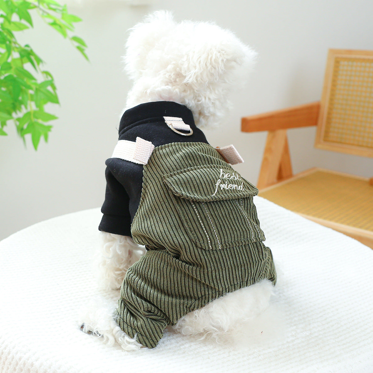 Animaux de compagnie Ring Cat Vêtements Corduroy