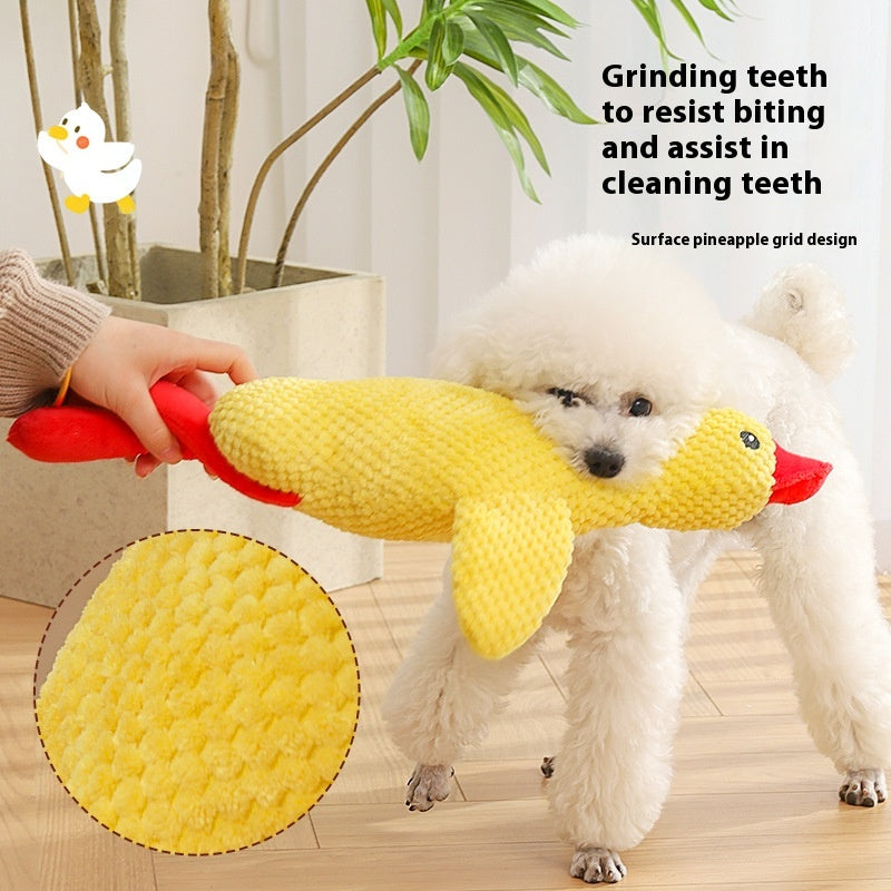 Soulagement Artefact Stuffy Pet Puppy Sound Molar Longue durée