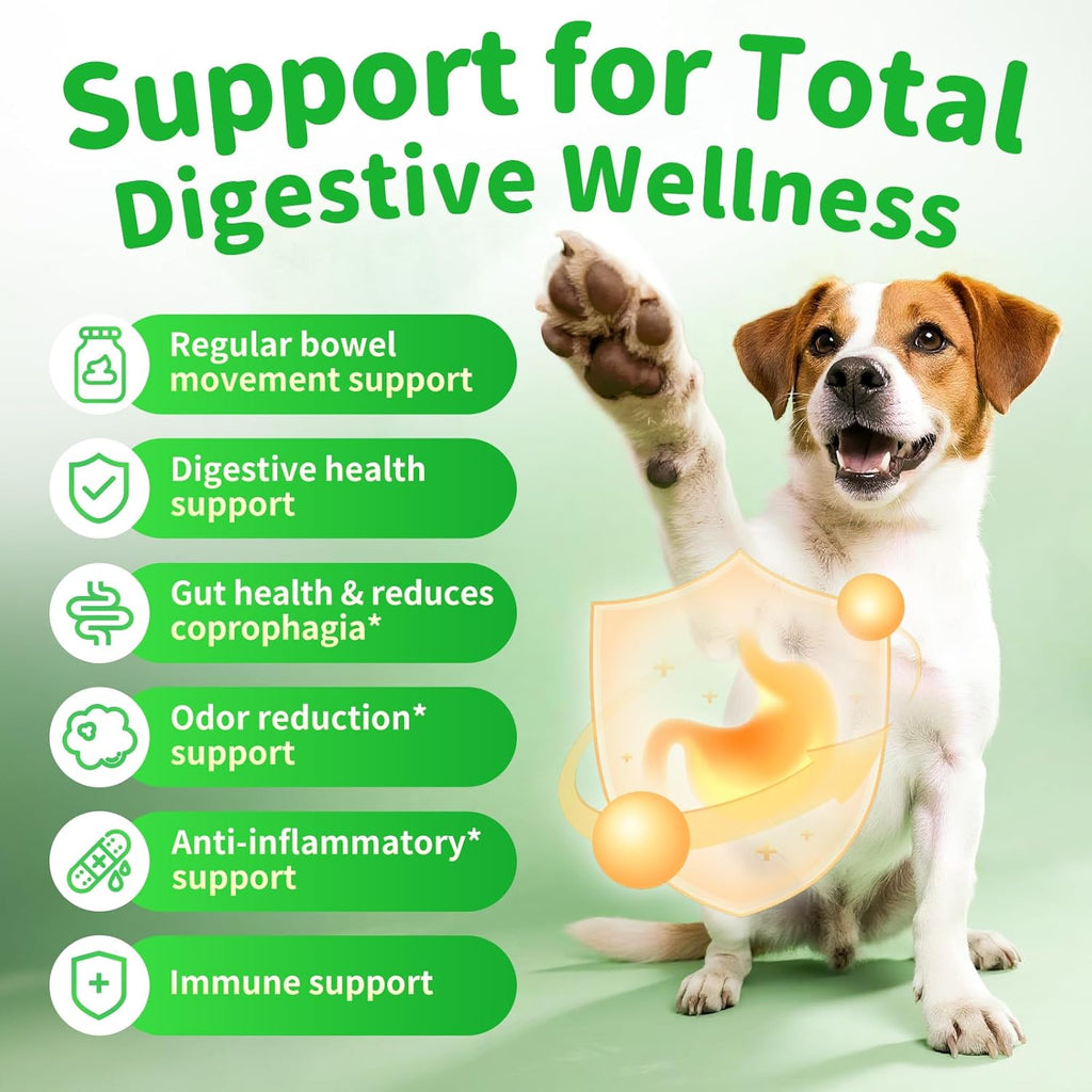 Probiotiques pour chiens Enzymes digestifs