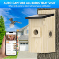 Maisons d'oiseaux intelligentes pour l'extérieur solaire alimenté