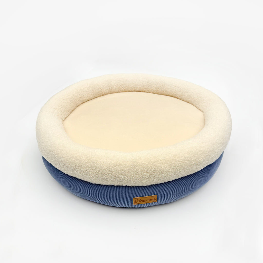 Lit de chien pour le printemps