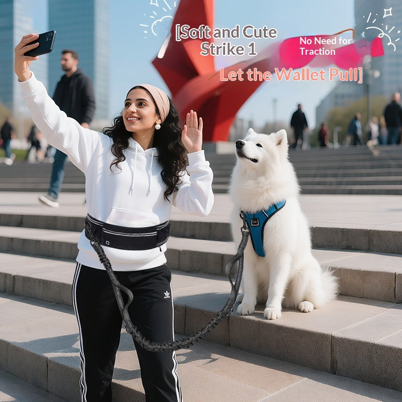 Sac de voile de sport Courant en laisse multifonctionnelle pour chien