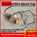Mouse trap large-1 pack