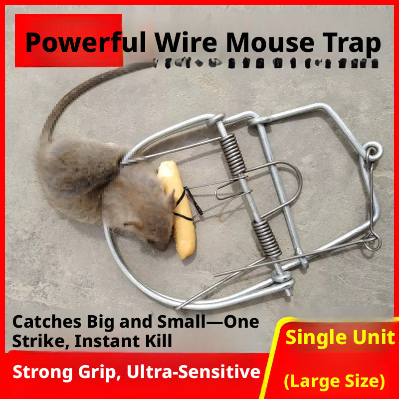 Mouse trap large-1 pack
