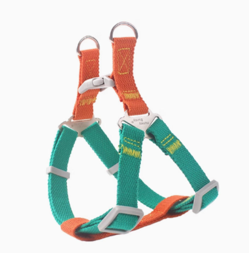 Contraste couleur Vest-style Pet's Chest-back Traction chien laisse
