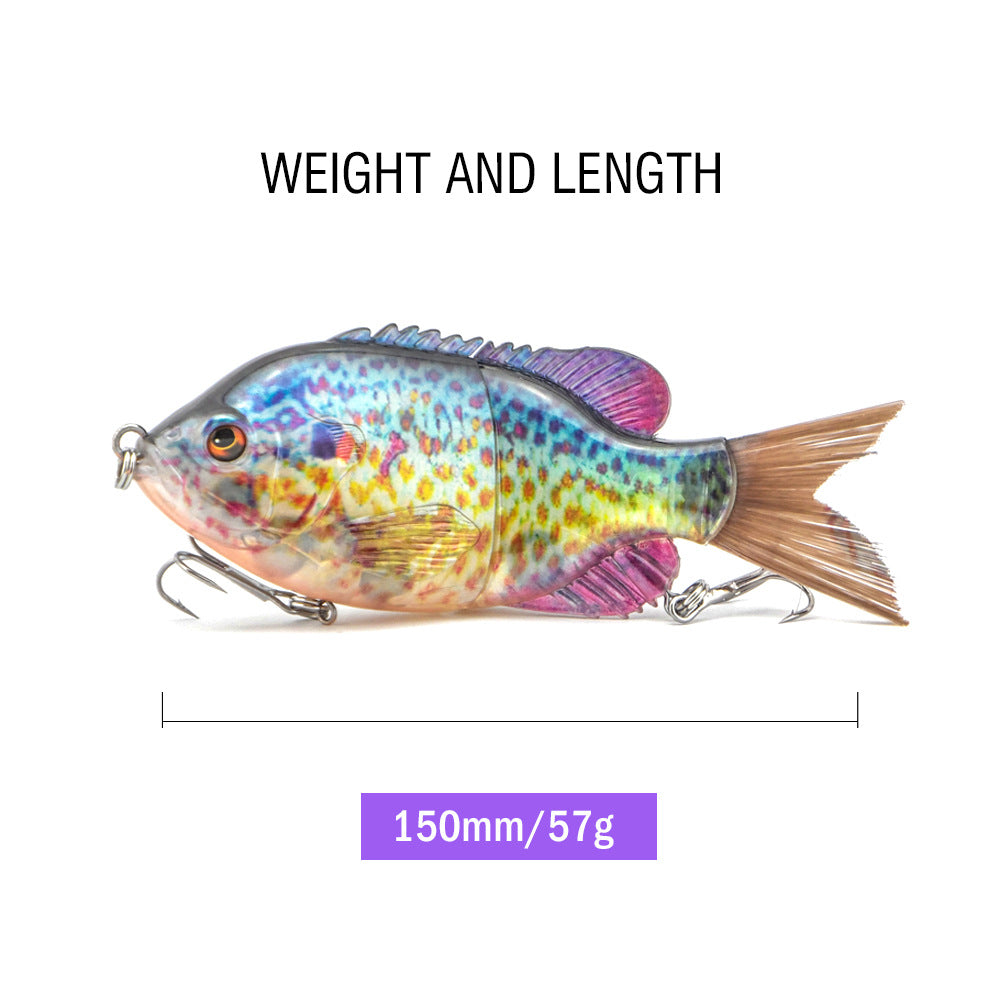 Simulation de pêche du Sunfish de Luya
