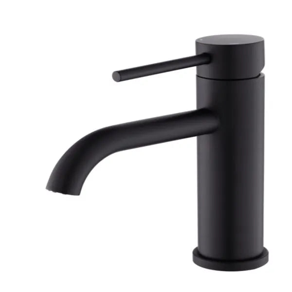 Robinet de toilette à poignée unique Robinet de lavoir en acier inoxydable Trou unique-T10