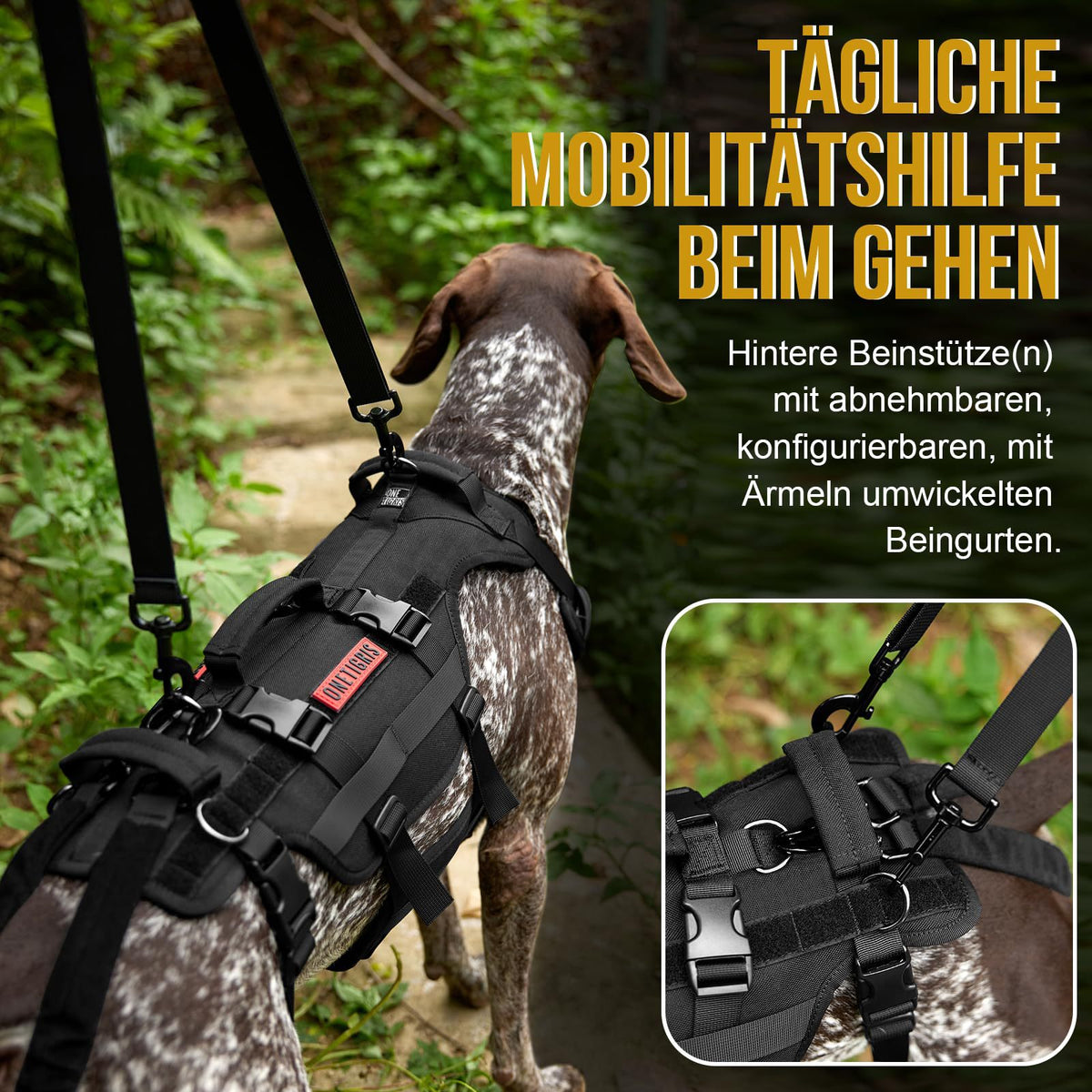 Harnais de chien extérieur tactique Vest